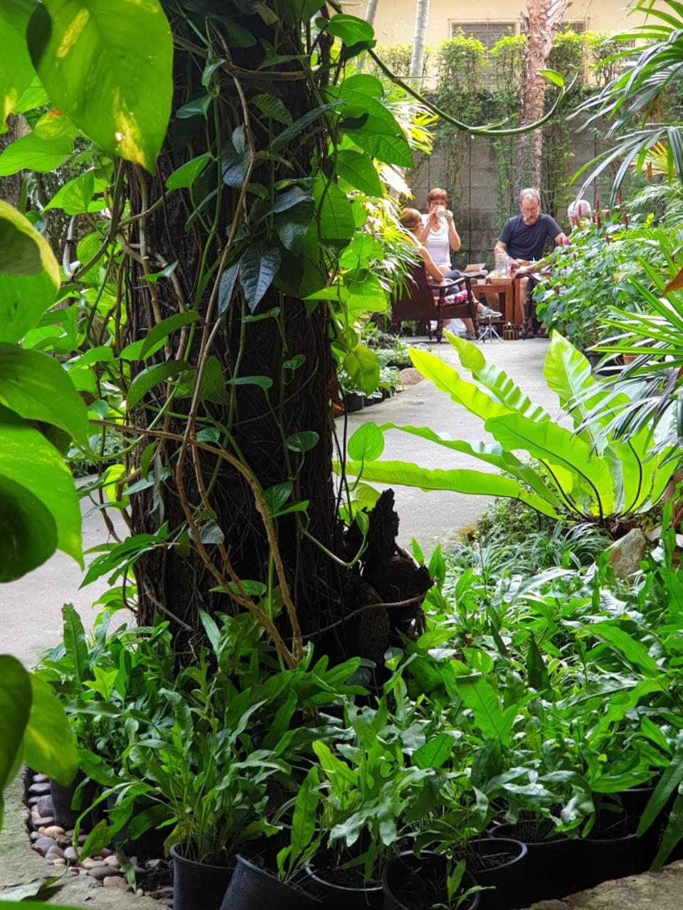 Baan Baimai Boutique Room Phra Nakhon Si Ayutthaya Exteriör bild